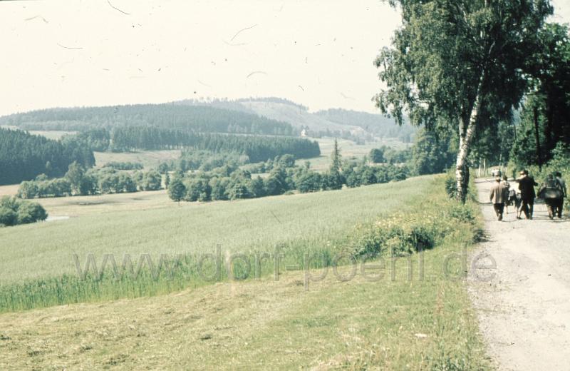 neu1 (9).jpg - Strasse von Altensalz Richtung Pöhl